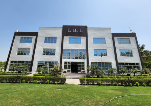 I- BUSINESS INSTITUTE (IBI)