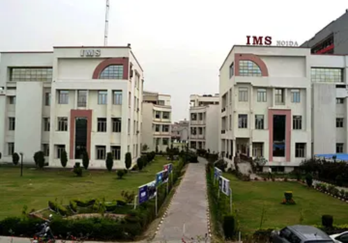 INSTITUTE OF MANAGEMENT STUDIES, NOIDA